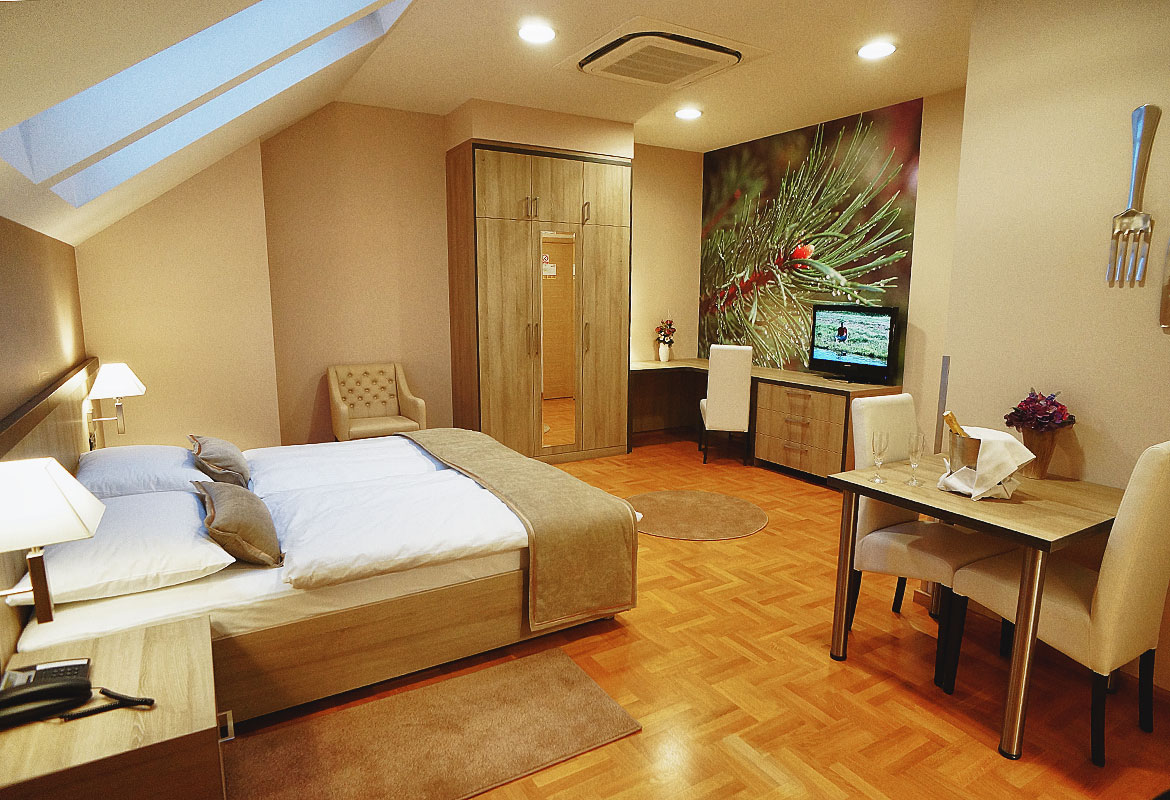 One-Bedroom Suite 